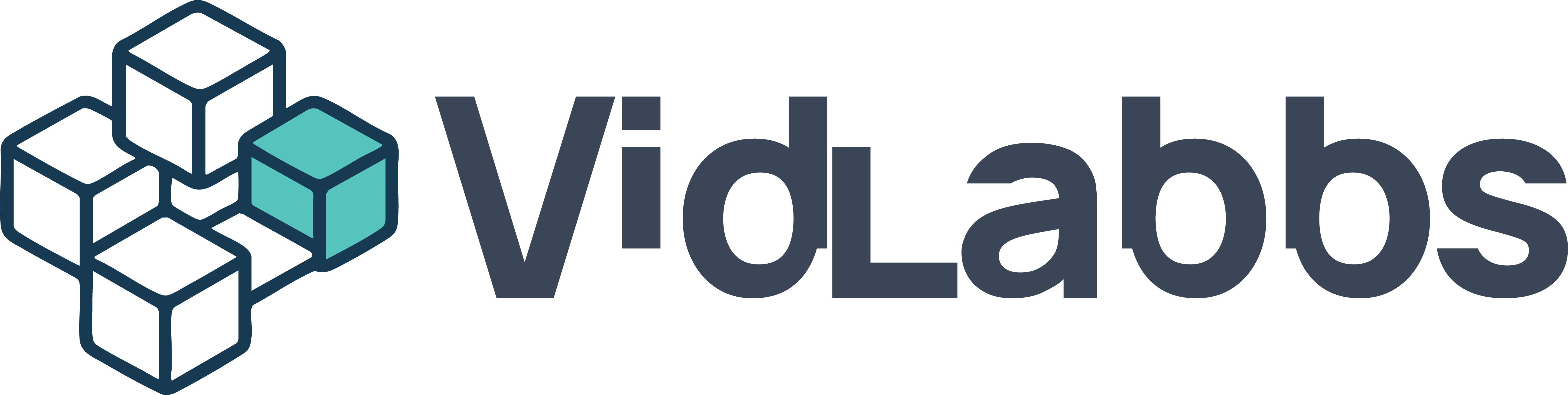 Logo da VidLabbs